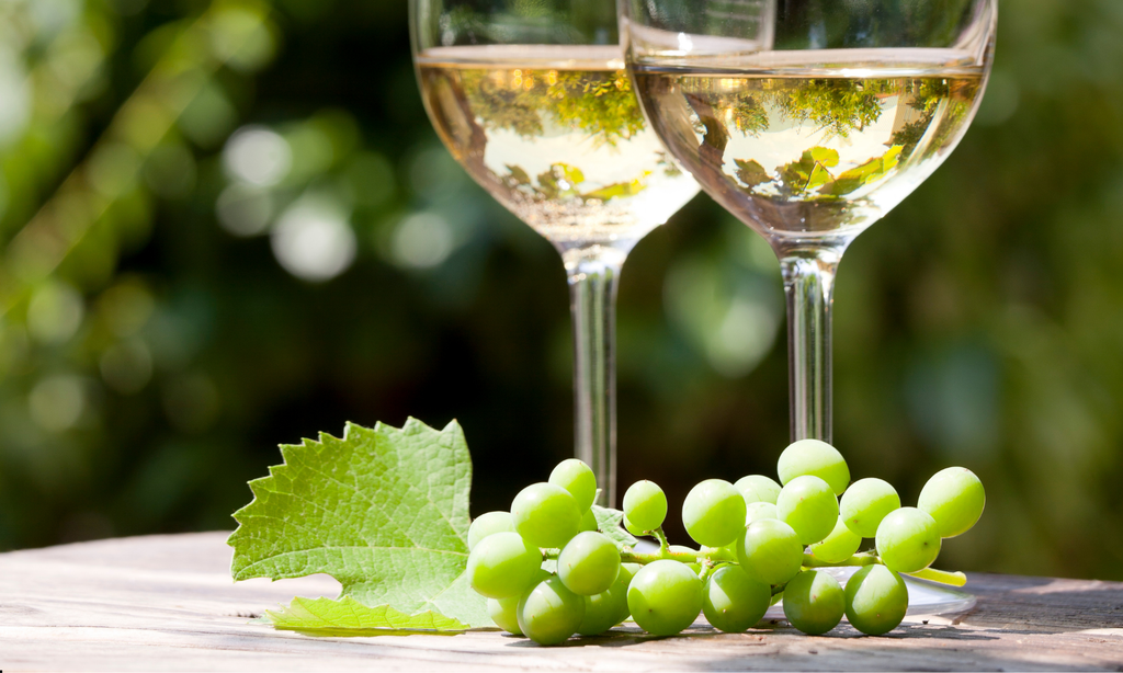 Hvidvinsdruer: Din guide til Chardonnay, Sauvignon Blanc, Riesling og Pinot Grigio