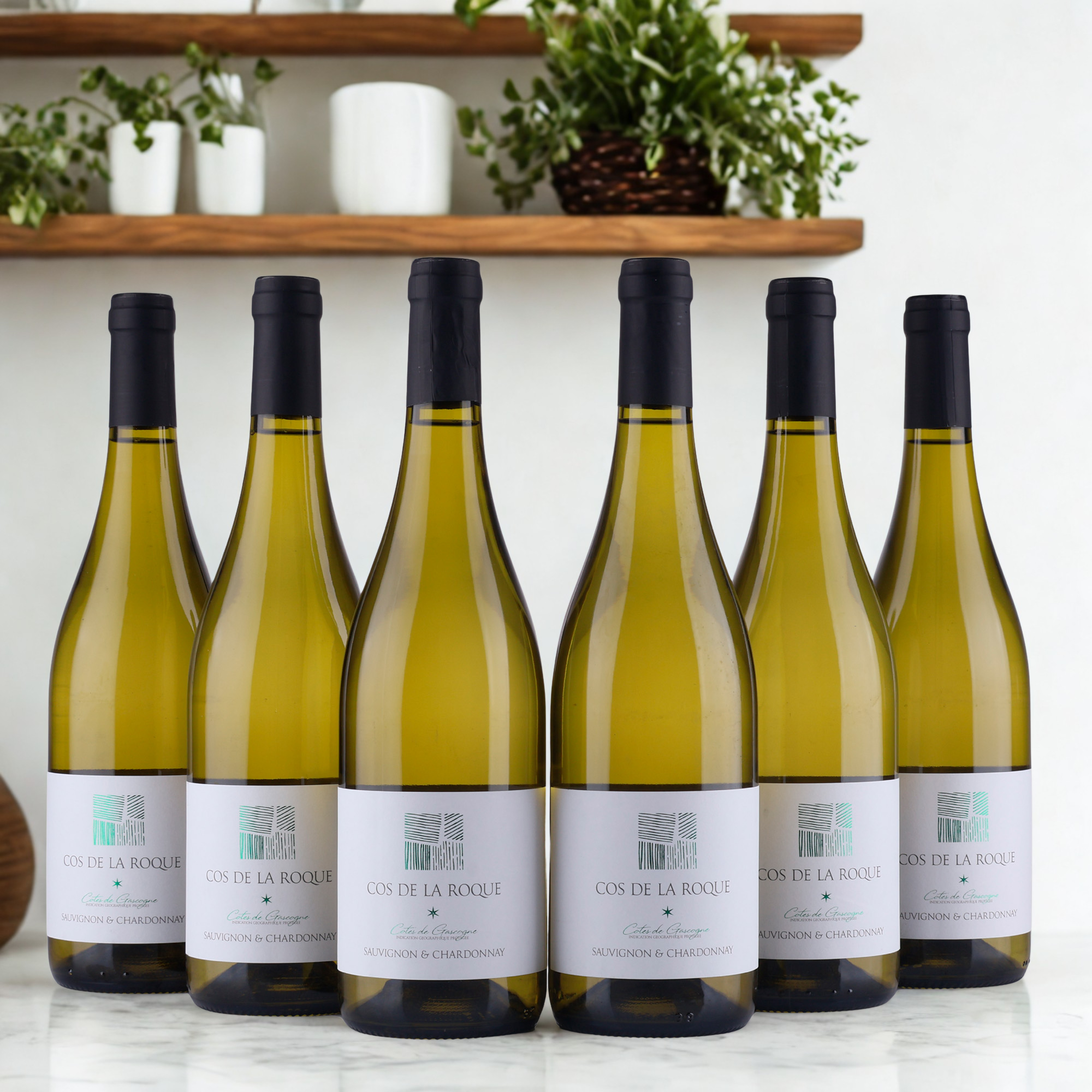 Cos de la Roque - Côtes de Gascogne - Sauvignon & Chardonnay - 2024