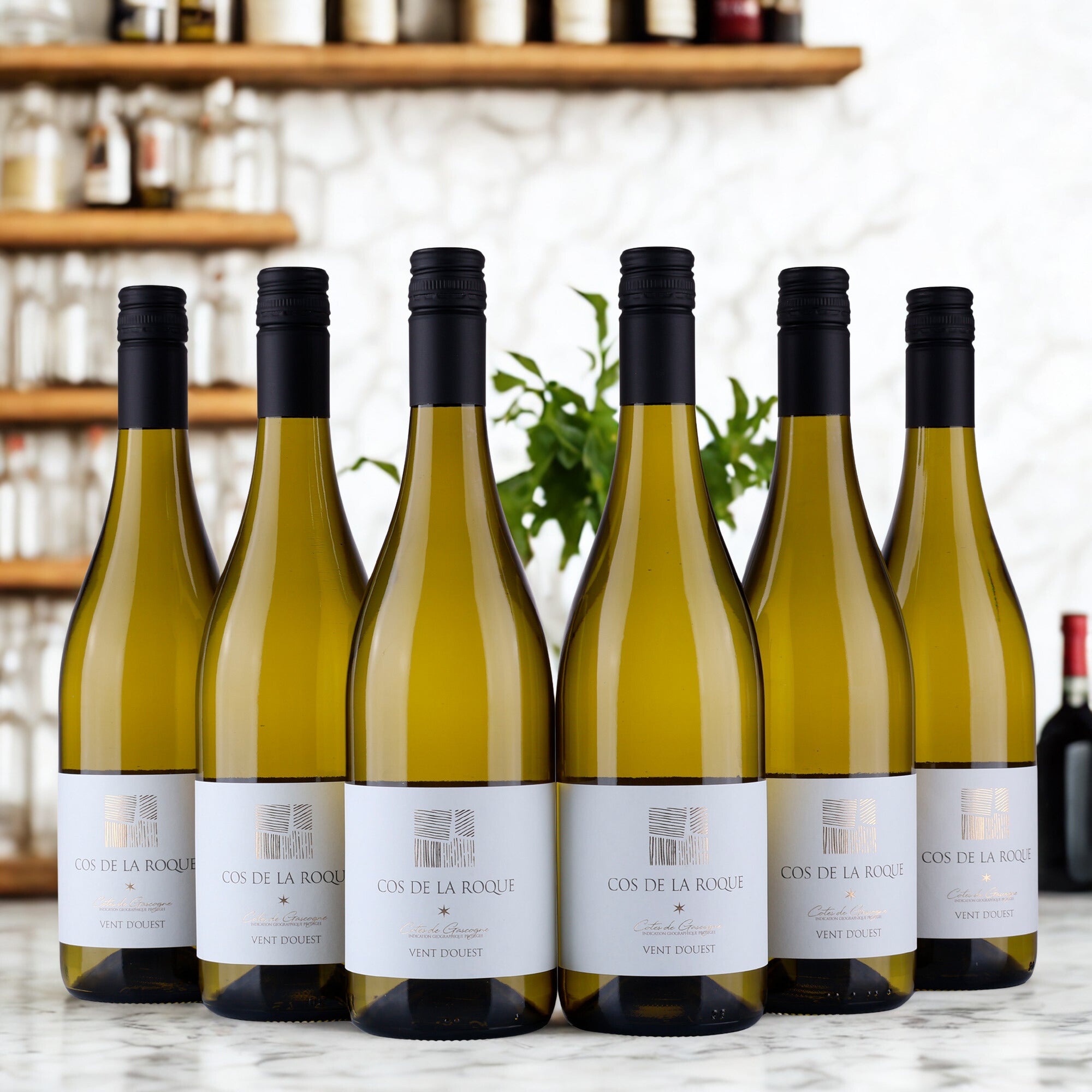 Cos de la Roque - Signature Blanc - IGP Côtes de Gascogne - 2024