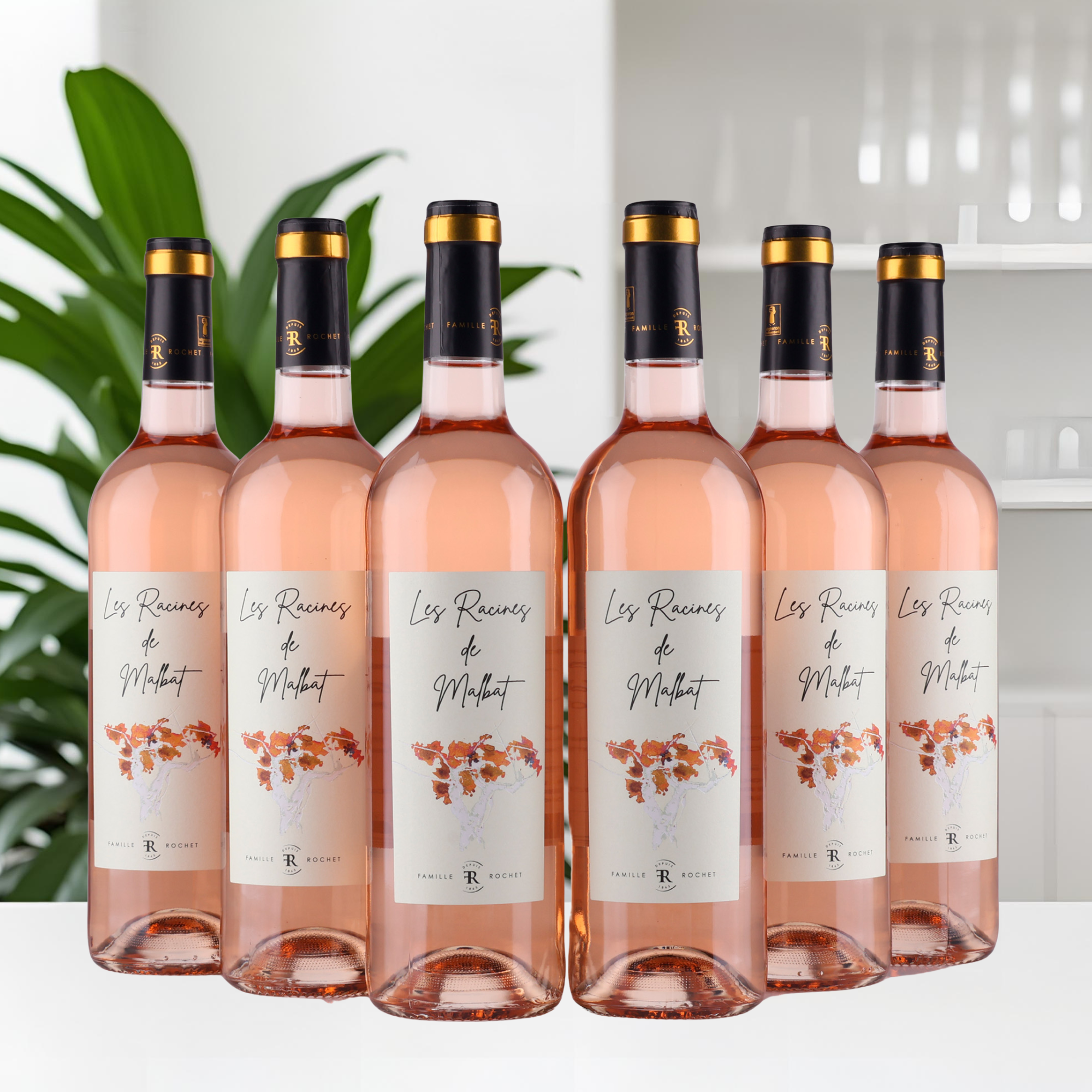 Les Racines De Malbat - Château Malbat - 2023