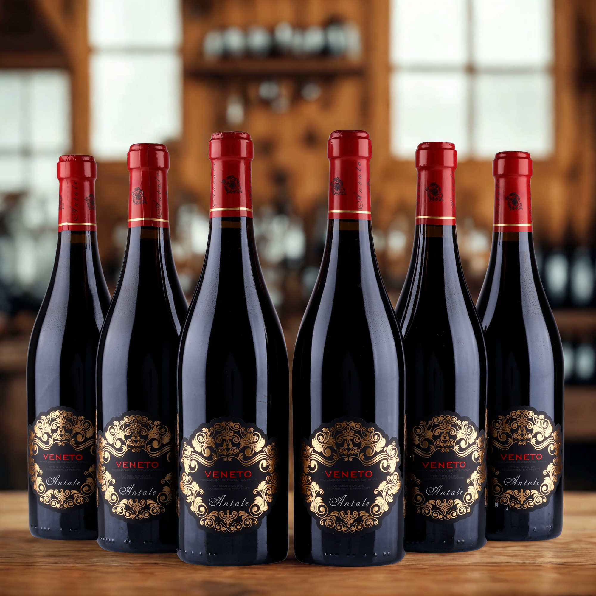 Rosso Veneto Appasimento IGT - 2023