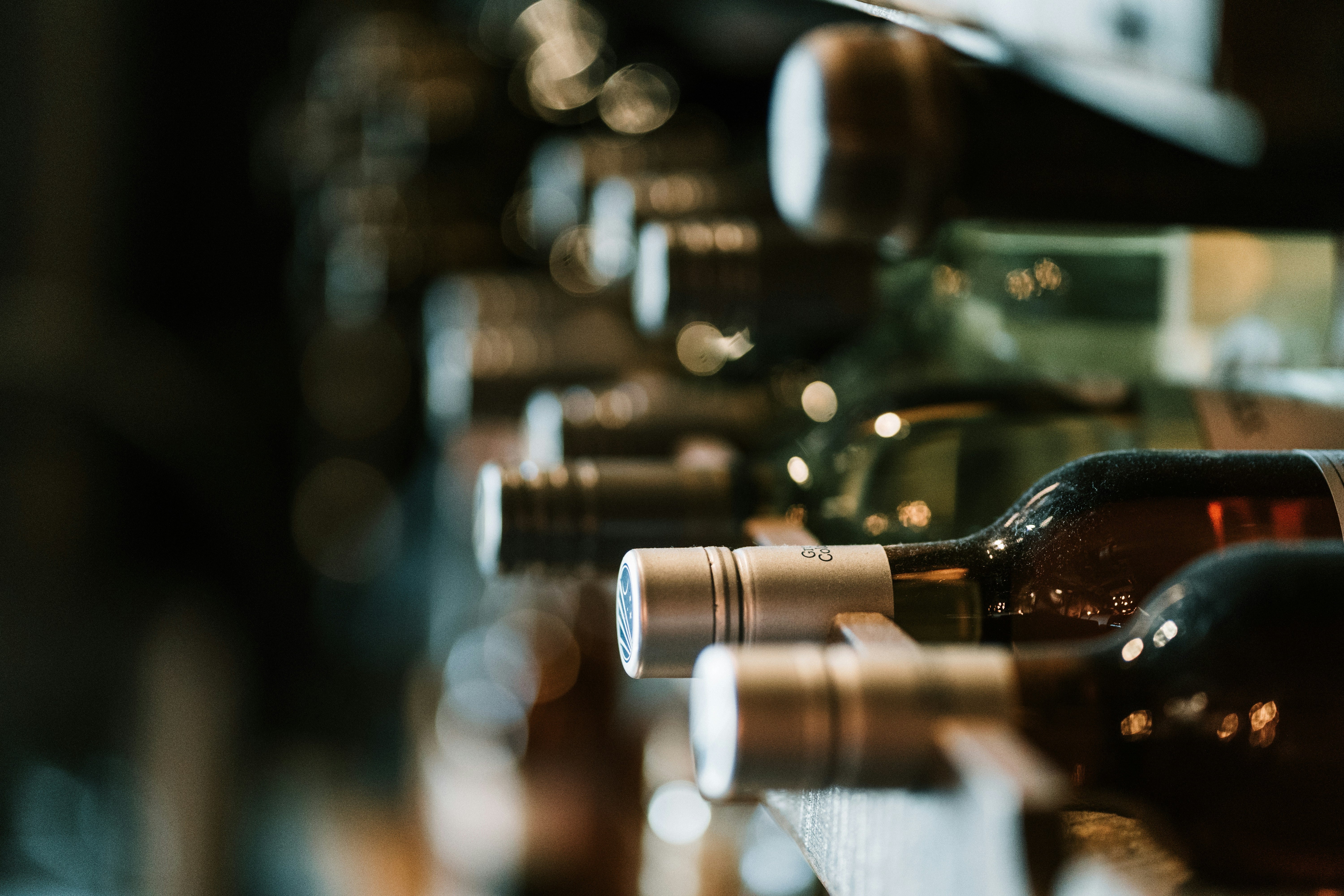 Guide til vinopbevaring – temperatur, placering og tips