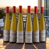 Vin D'Alsace - Gewurztraminer Eclat de Sagesse - 2022