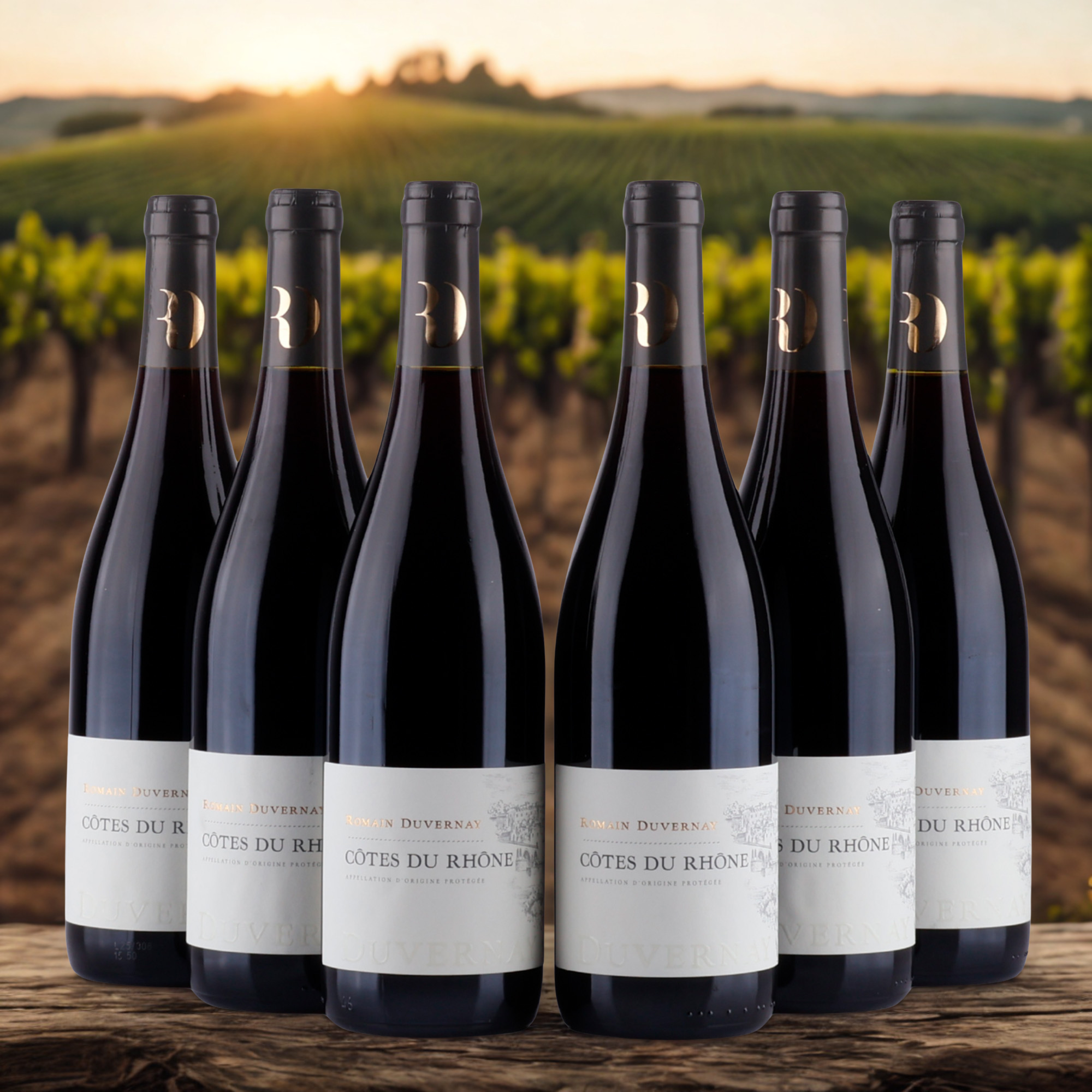 Romain Duvernay Côtes du Rhône - 2021 - 13,5%