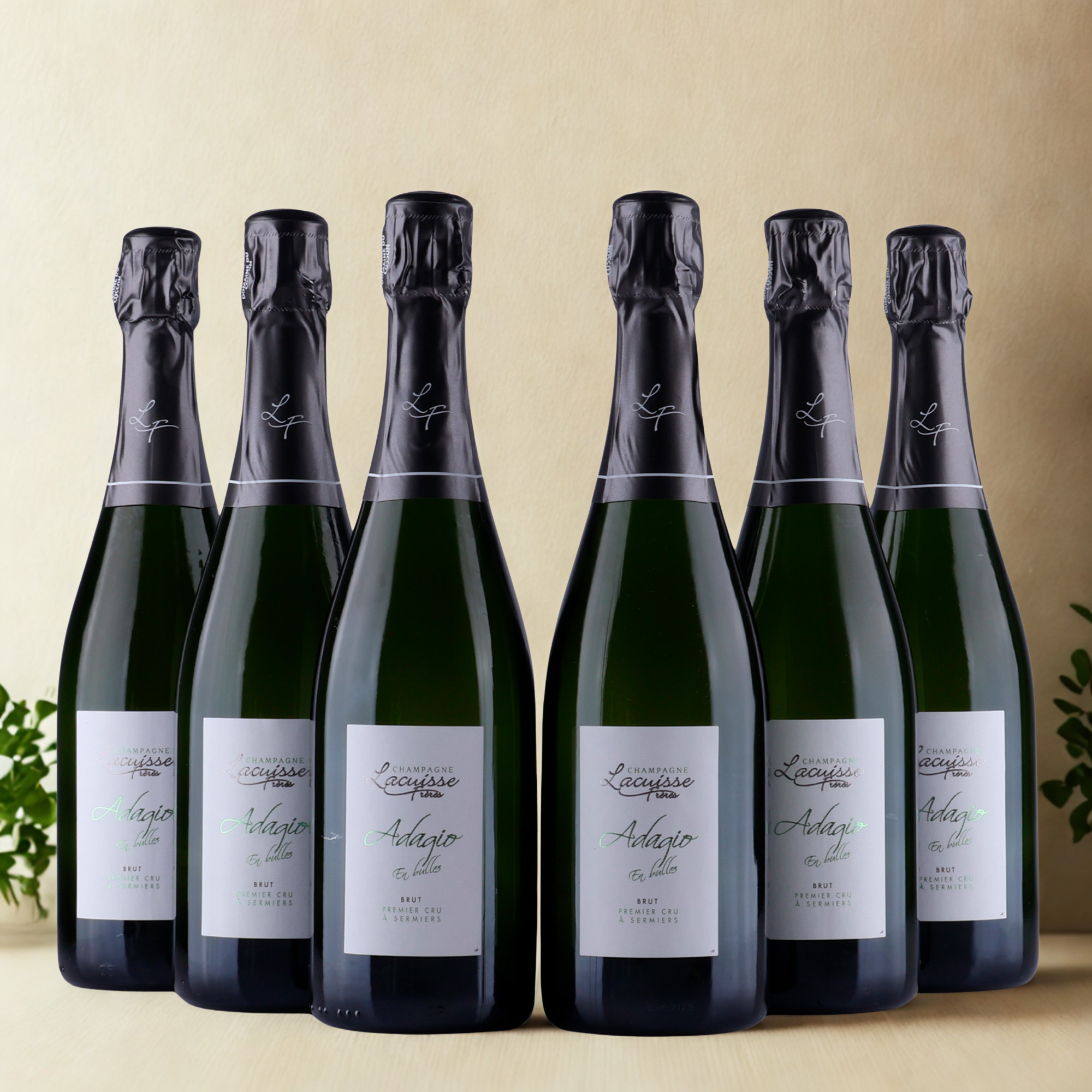 Champagne Lacuisse Freres - Brut Adagio en bulles