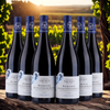 Domaine Trenet Bourgogne - Hautes-Côtes de Beaune 2023 - 2023