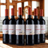 Bodegas Navajas - Young Red - Rioja - 2023 🥈