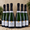 Champagne Bauser - Brut Premiére - 2023