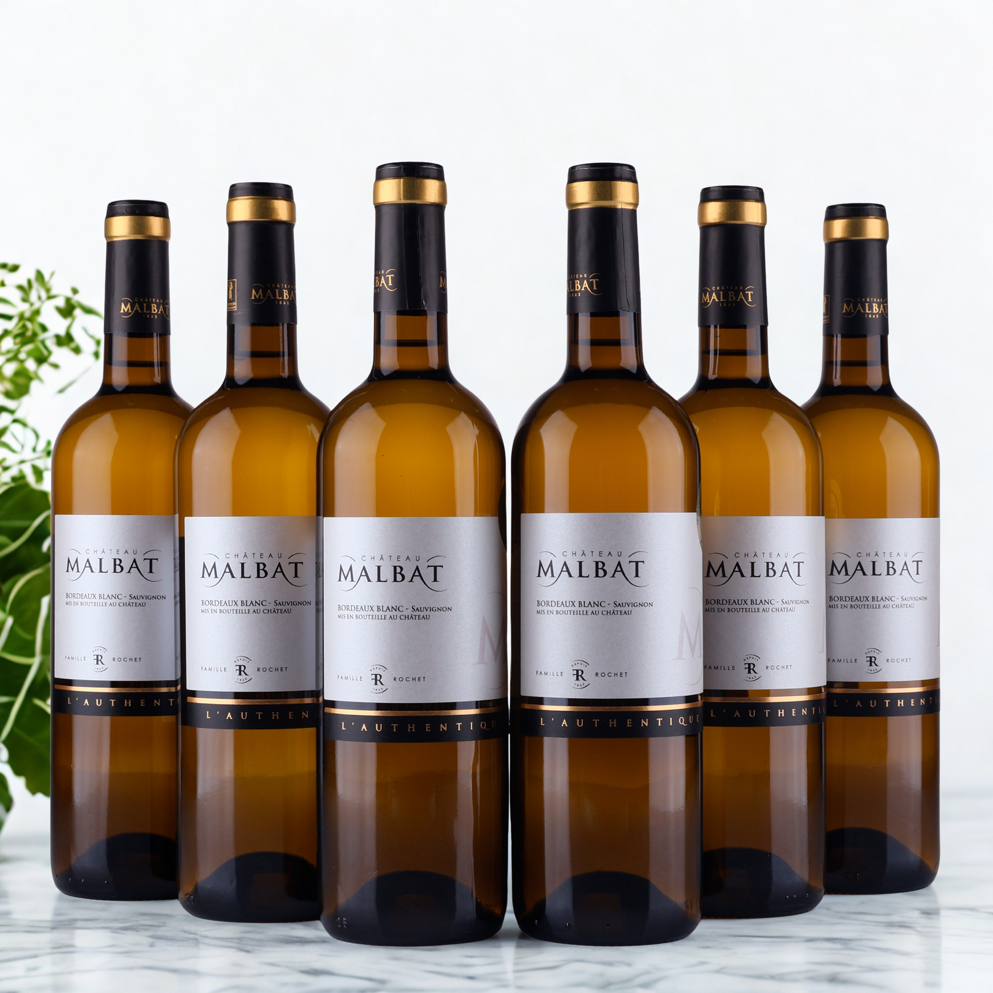 Cháteau Malbat - l'Authentique Bordeaux Blanc - 2025