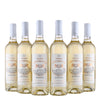 Château Mont-Saint-Pay - Bordeaux Blanc 2023