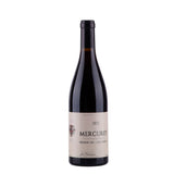 Mercurey 1er Cru Les Combins 2021 Jean Dupasquier