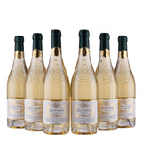 Gran Passione - Bianco Veneto - 2025