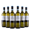 Pinot Grigio delle Venezie DOC - 2023