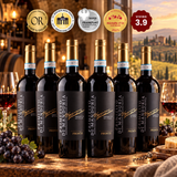 Primitivo Di Manduria – Pronto - 2023 - 14% - Black Month🖤