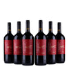 Pronto - Zinfandel  Magnum 1.5Ltr