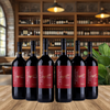 Pronto - Zinfandel - Magnum - 1,5 L - 2023