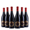 Rosso Veneto Appasimento IGT - Italiensk mini Amarone - 2021 - 14%