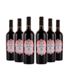 Terre Natuzzi Rosso Toscana IGP - 13,5% - 2024