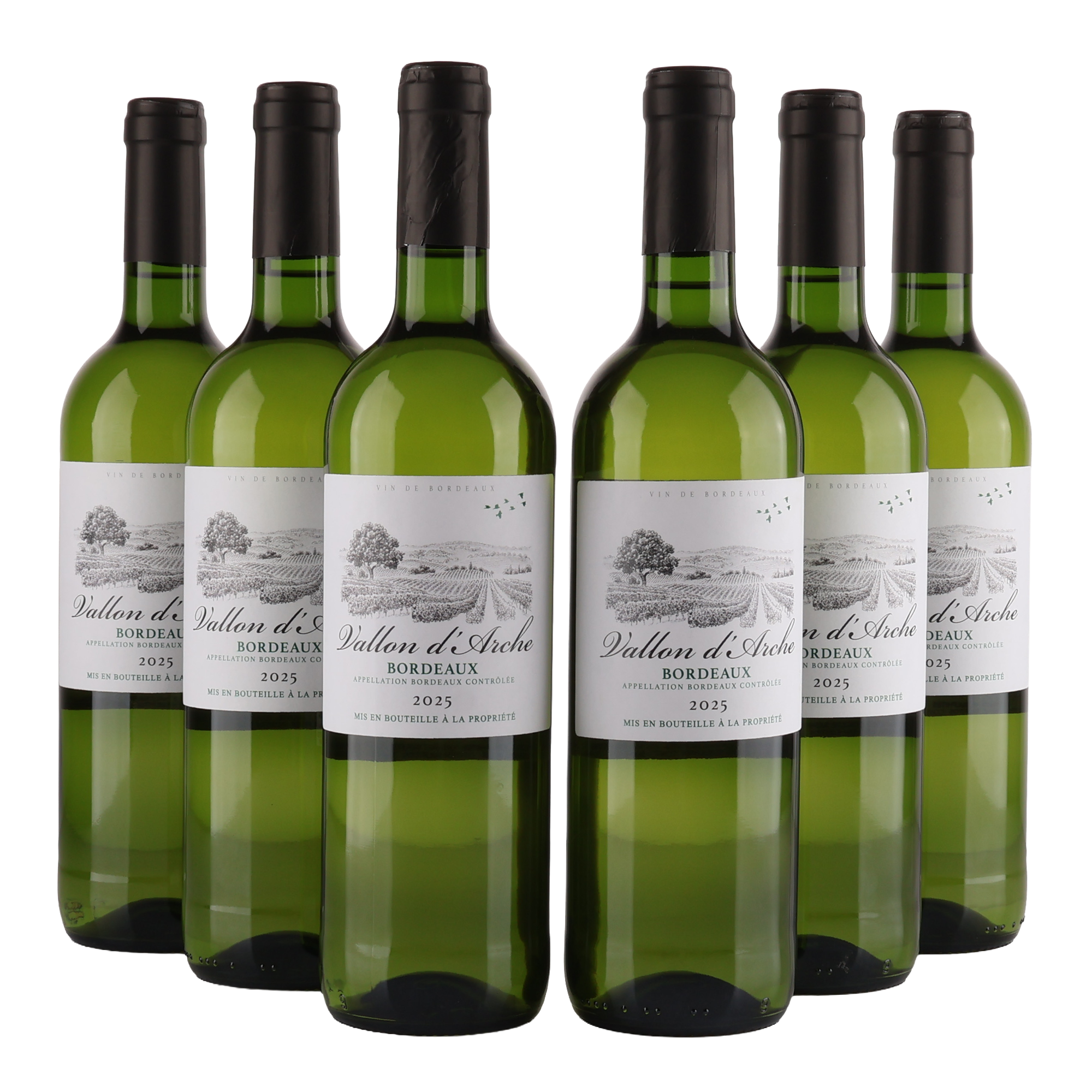 Vallon D'Arche - Bordeaux Blanc - 2025