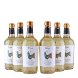 Velar - Vermentino - Isola Dei Nuraghi IGP - 2025 - 13%