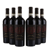 Fantini Vesevo Ensis Aglianico Taurasi DOCG – 2017 – 14%