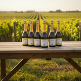 Château de Fayolle - Bulles de Sanglier - 2022