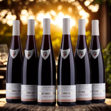 Edouard Leiber - Alsace - Pinot Noir - Vieilli En Pièces - 2022