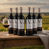 Le Val Oucitan – Lifestyle med original opstilling